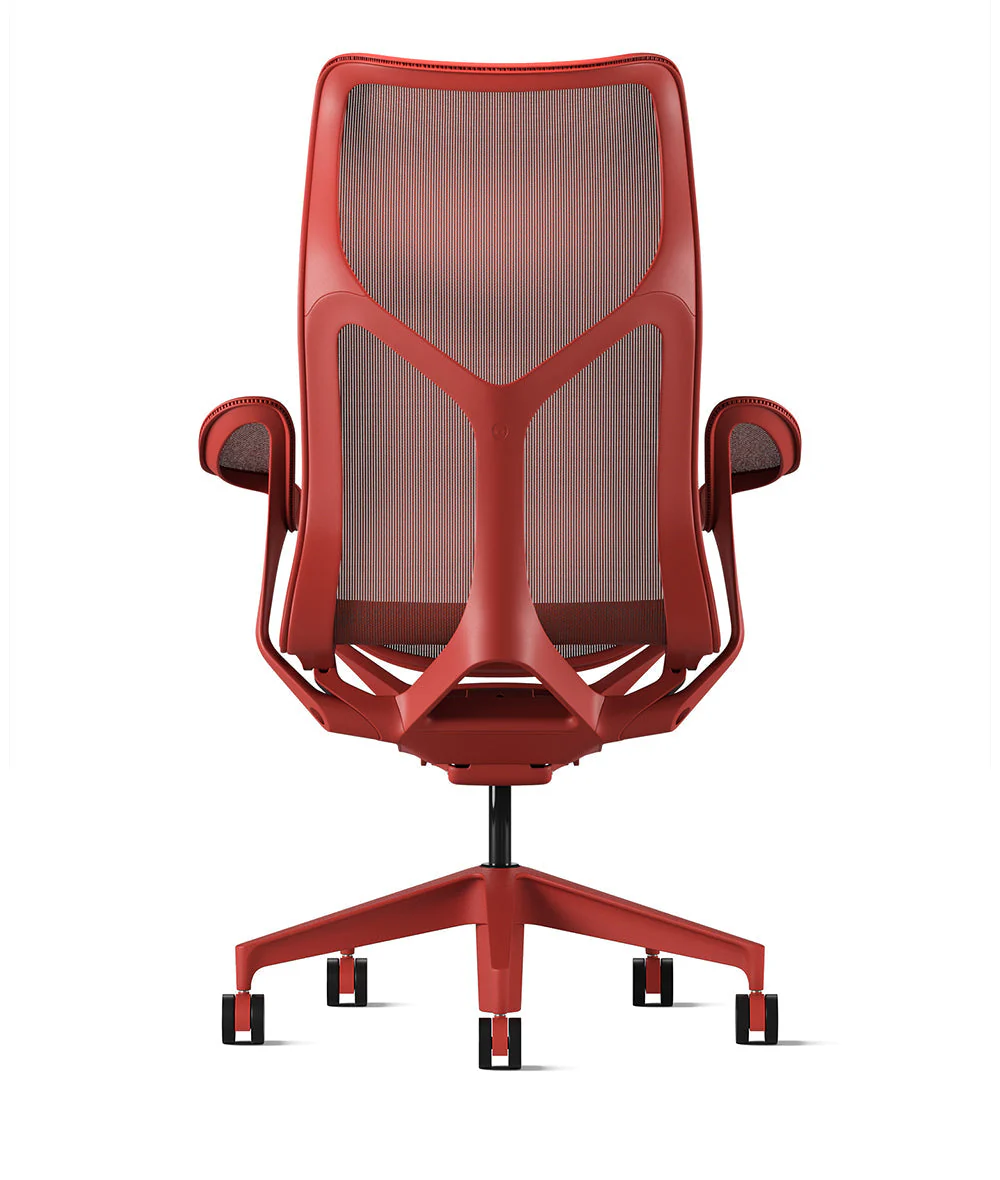 Imagen del producto 6